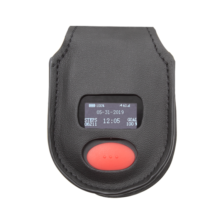 product-pendant-inholster